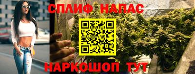 индика Старая Купавна