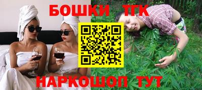 индика Татарск