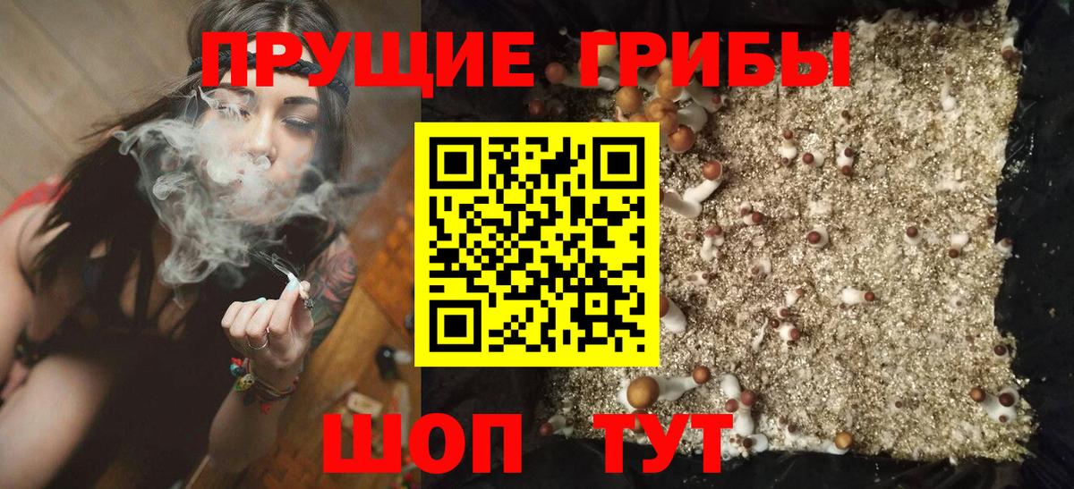 Псилоцибиновые грибы Cubensis Баксан