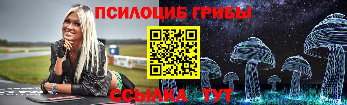 Баксан  Псилоцибиновые грибы Magic Shrooms  Галлюциногенные грибы мухоморы  Вход с VPN 